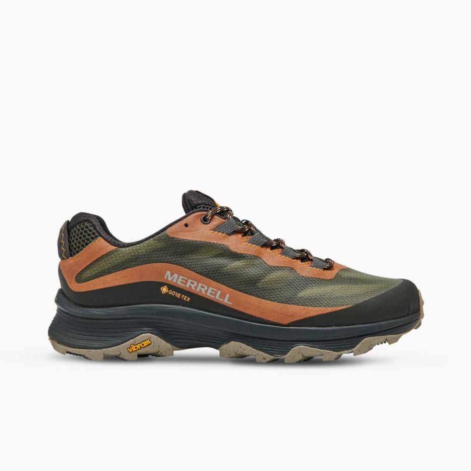 Merrell Moab Speed Gore-tex Lichen